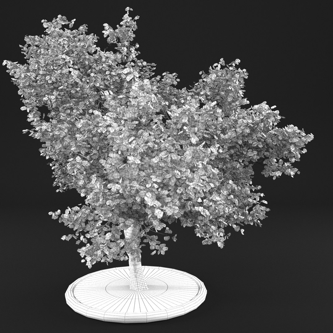 3D apple tree https://p.turbosquid.com/ts-thumb/zs/BpHHXQ/S3QXwJD1/20000002/png/1495359755/1920x1080/fit_q87/ea9ce28d88fdc31461c6fdb0bd74c87d45a3f2ee/20000002.jpg
