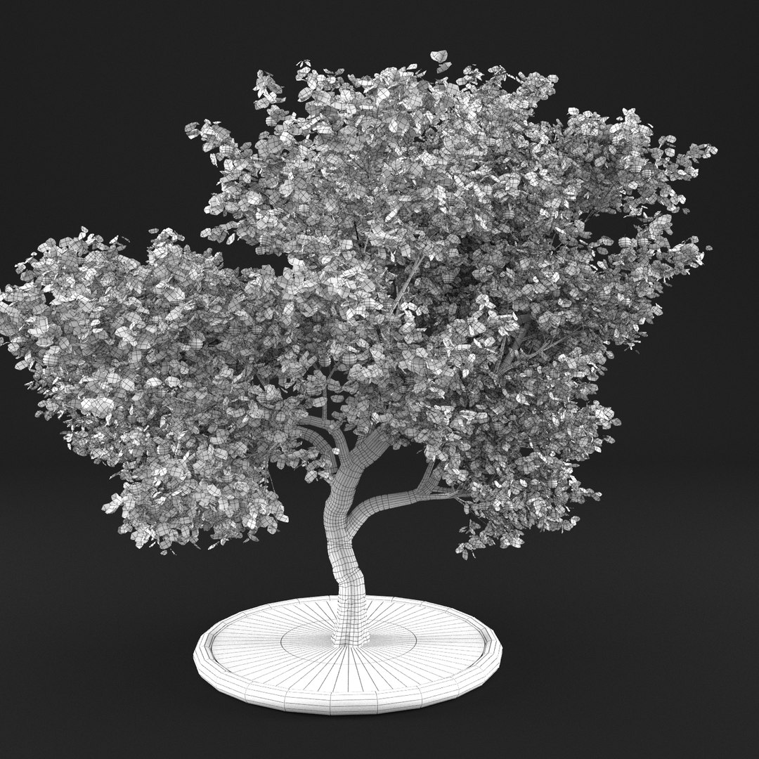 3D apple tree https://p.turbosquid.com/ts-thumb/zs/BpHHXQ/WAUUFLZK/20000005/png/1495359755/1920x1080/fit_q87/39c255757c2d4bcbb8b41ce205fea26f7fa39020/20000005.jpg