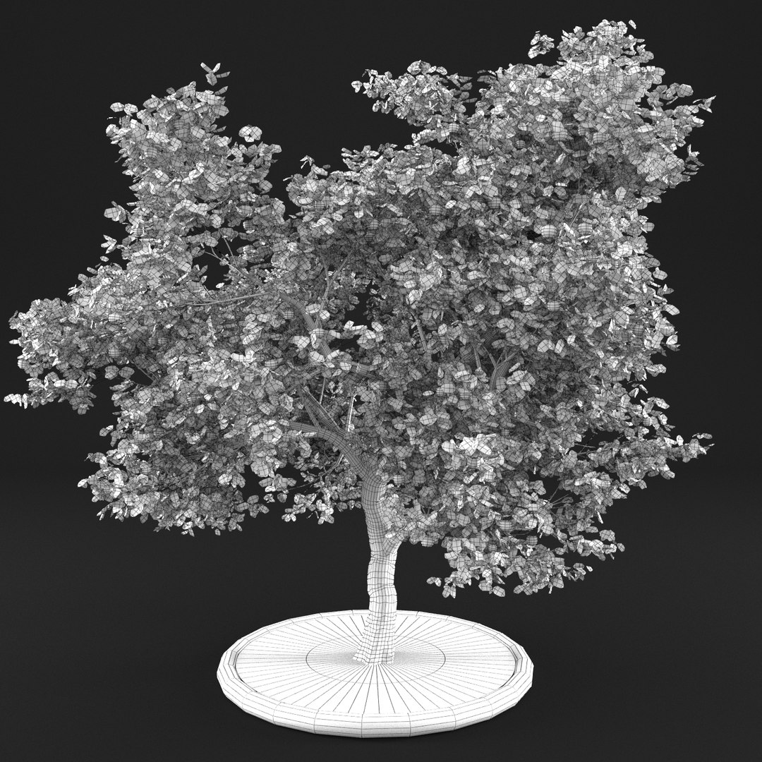 3D apple tree https://p.turbosquid.com/ts-thumb/zs/BpHHXQ/Z8op3ivS/20000006/png/1495359755/1920x1080/fit_q87/ceeb48204f9f9bbda8701956e5ea3dcb5cf89450/20000006.jpg