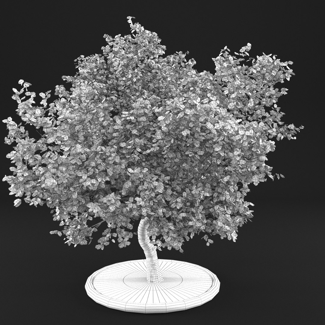 3D apple tree https://p.turbosquid.com/ts-thumb/zs/BpHHXQ/osLnDB4g/20000003/png/1495359755/1920x1080/fit_q87/df86122a49755ce7677b5bac9f8521d5221b9f88/20000003.jpg