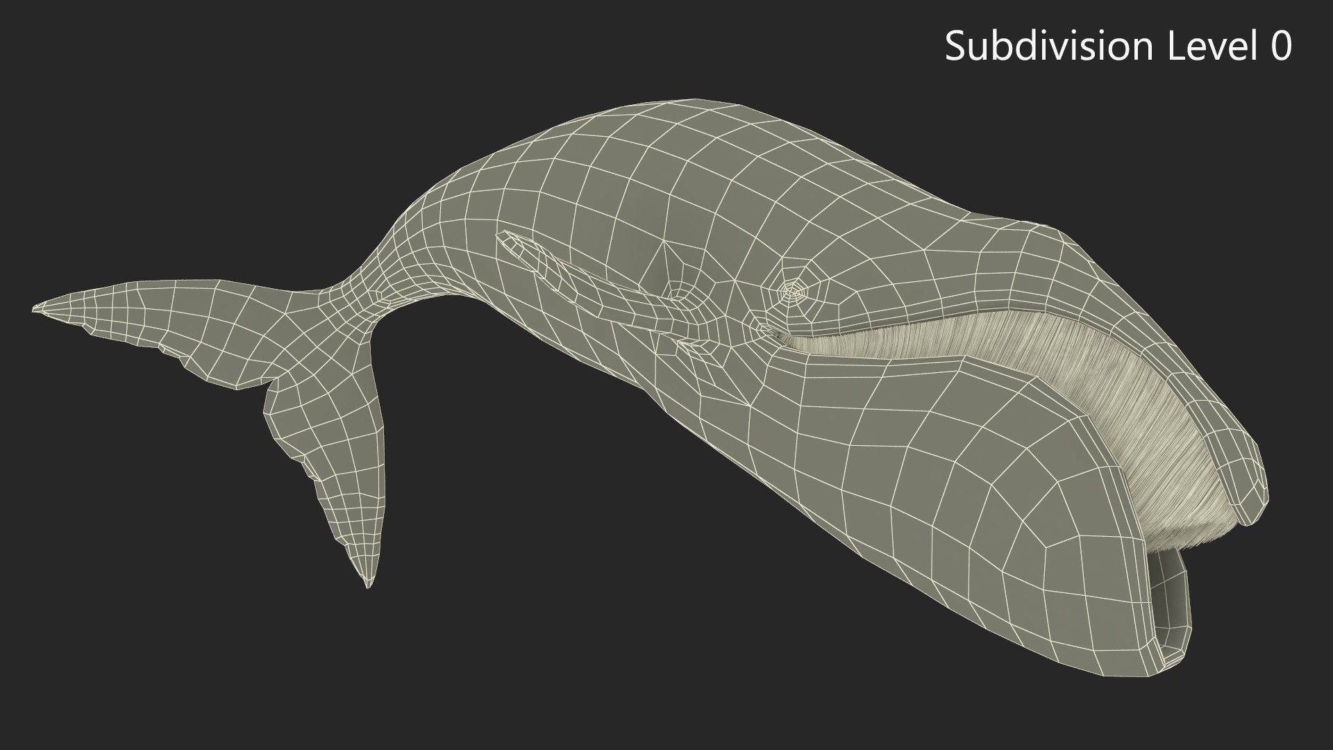 3D Sea Mammal Bowhead Whale Rest Pose Fur model https://p.turbosquid.com/ts-thumb/zs/C7dgbB/lh/seamammalbowheadwhalerestposefurvray3dmodel018/jpg/1692663537/1920x1080/fit_q87/ef84bf8d13e13939bc84c679c466e0053ab2e5d3/seamammalbowheadwhalerestposefurvray3dmodel018.jpg