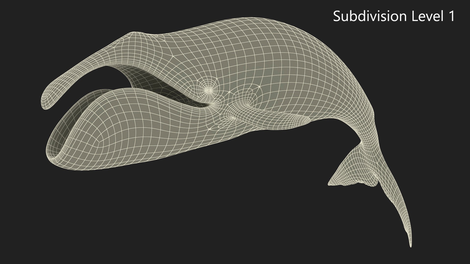 3D Sea Mammal Bowhead Whale Rest Pose Fur model https://p.turbosquid.com/ts-thumb/zs/C7dgbB/ve/reproduction__sea_mammal_bowhead_whale_rest_pose_fur_017/jpg/1710910710/1920x1080/fit_q87/a91f7cd627915c32d3b371659e32ace9579ff845/reproduction__sea_mammal_bowhead_whale_rest_pose_fur_017.jpg