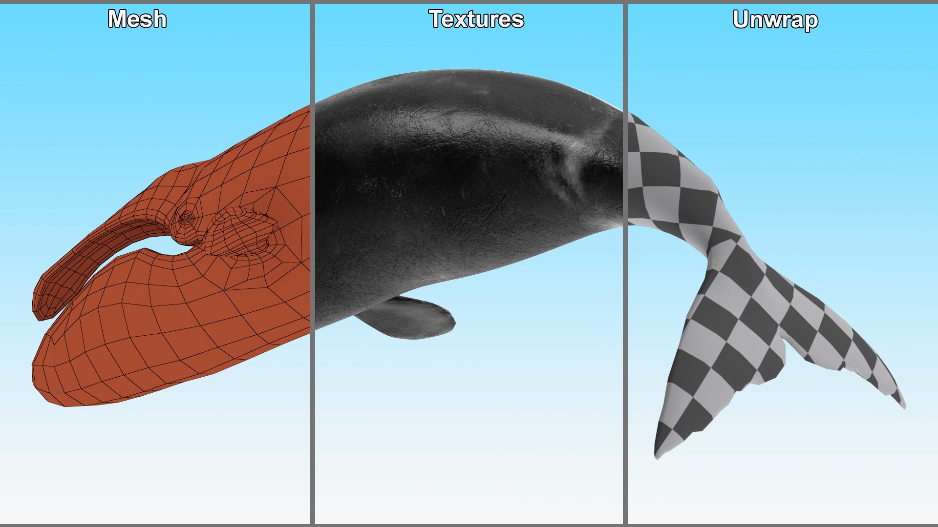 3D Sea Mammal Bowhead Whale Rest Pose Fur model https://p.turbosquid.com/ts-thumb/zs/C7dgbB/wd/reproduction__sea_mammal_bowhead_whale_rest_pose_fur_015/jpg/1710910709/1920x1080/fit_q87/4f2c1b28e5d491deed6f83ebca526bcb770c0a81/reproduction__sea_mammal_bowhead_whale_rest_pose_fur_015.jpg