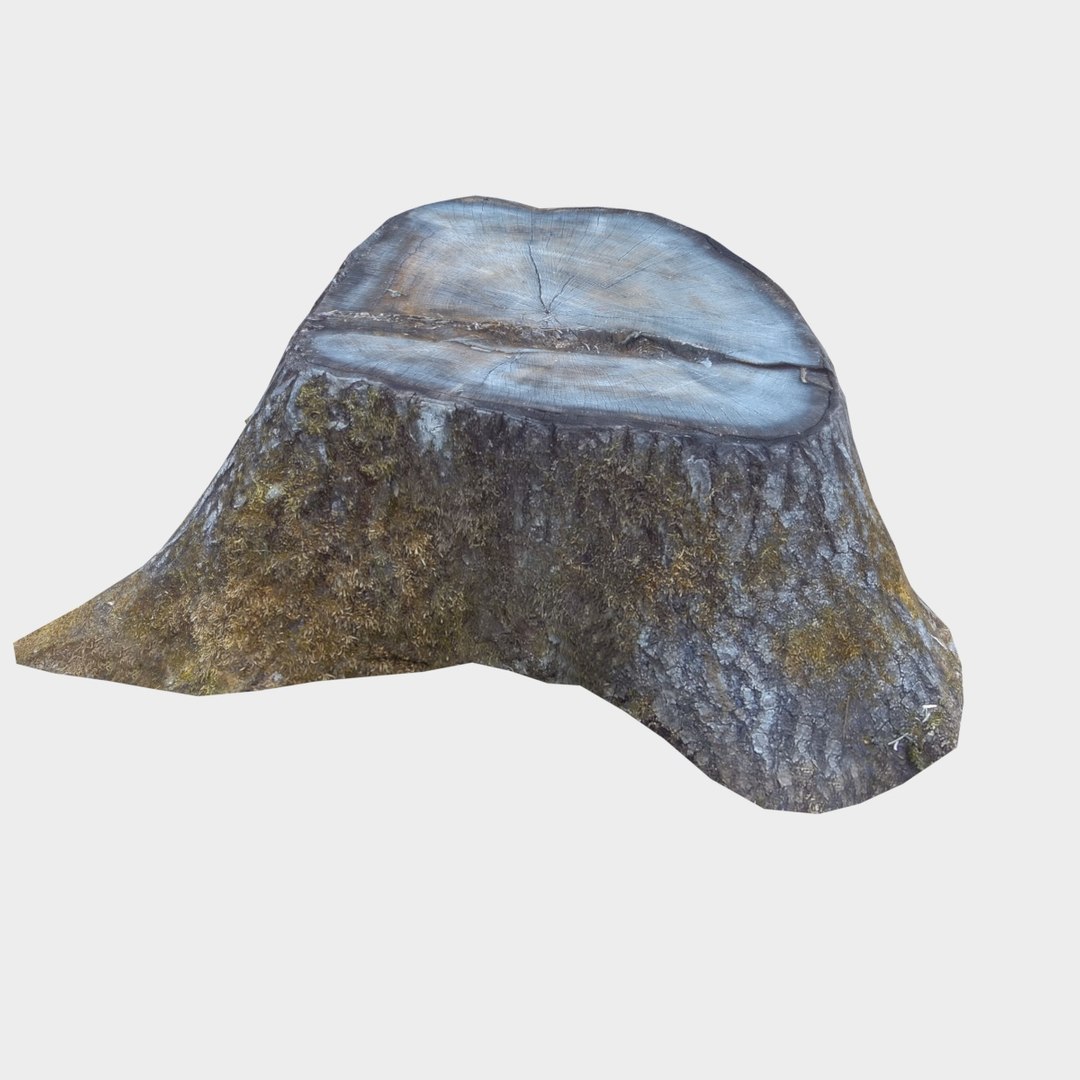 3D tree stump model https://p.turbosquid.com/ts-thumb/zs/ZWrzMG/Cgah3OaC/treestumpvtop003/jpg/1528294475/1920x1080/fit_q87/293d586f0c4a19b3736c8a0744f7ce791d677e1a/treestumpvtop003.jpg
