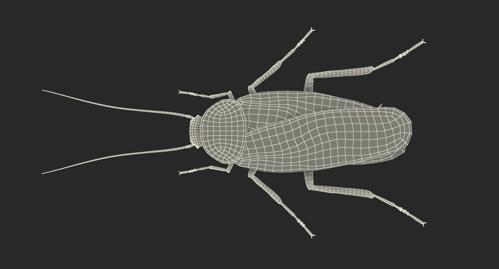 insect pests 3D model https://p.turbosquid.com/ts-thumb/zs/iOR5z0/LyLNqH4c/insectpestscollectionvray3dmodel032/jpg/1587965079/1920x1080/fit_q87/1d67606b02b2a55566b58be673bfcc84f3e6f72d/insectpestscollectionvray3dmodel032.jpg