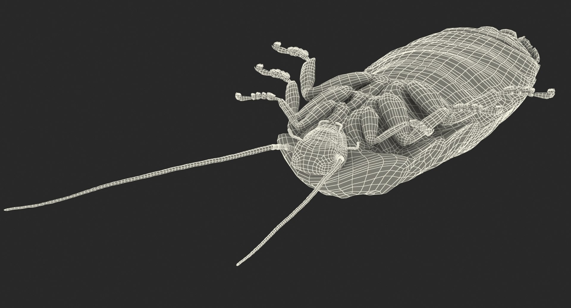 insect pests 3D model https://p.turbosquid.com/ts-thumb/zs/iOR5z0/mpuRqOhz/insectpestscollectionvray3dmodel035/jpg/1587965079/1920x1080/fit_q87/ecabe11949073f1ccfce02358ab56140fccb7ff1/insectpestscollectionvray3dmodel035.jpg
