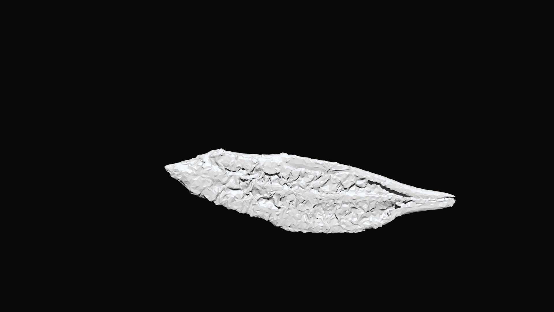 Grilled Eel 3D CT Scan Model Decimate 3 Percent 3D Model - TurboSquid ...
