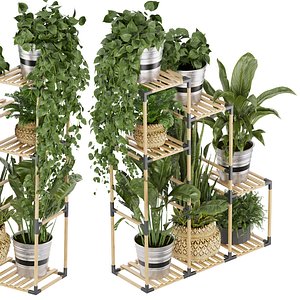 3D Collection plant vol 498 - stand- pothos - banana - monstera