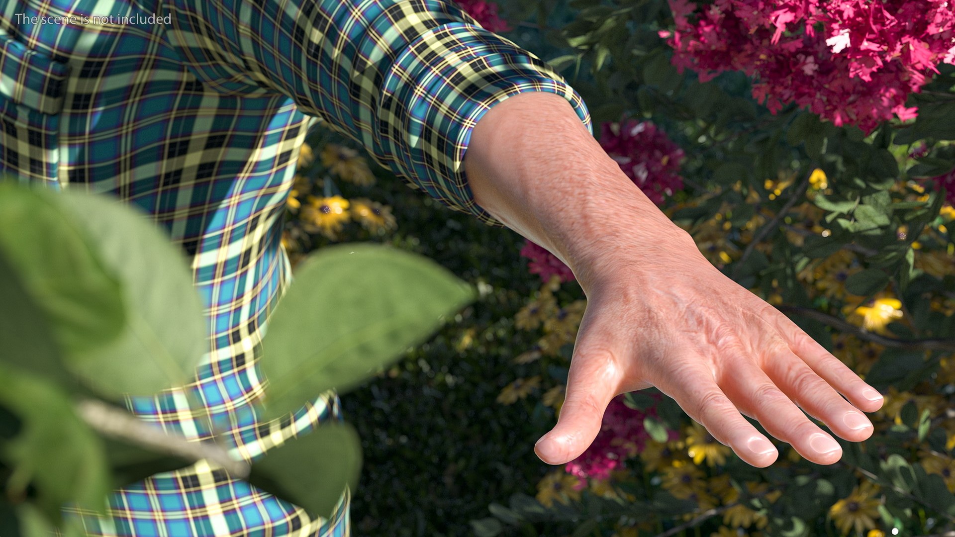 3D Rigged Elderly Lady and Man with Gardening Tools Collection https://p.turbosquid.com/ts-thumb/zt/1qA094/Ic/riggedelderlyladyandmanwithgardeningtoolscollectionvray3dmodel008/jpg/1639690661/1920x1080/fit_q87/bdde9c83f067a82ea4f14a62b609d7f76d3d260f/riggedelderlyladyandmanwithgardeningtoolscollectionvray3dmodel008.jpg