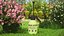 Dame et homme âgés truqués avec collection d'outils de jardinage