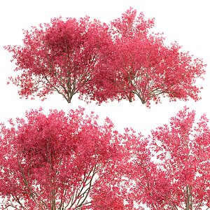 3D model Burning Bushes Collection Vol 374