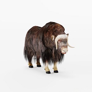 3D Muskox Winter Coat