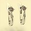 earrings 0010