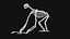 Sloth Skeleton