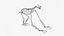 Sloth Skeleton