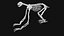 Sloth Skeleton
