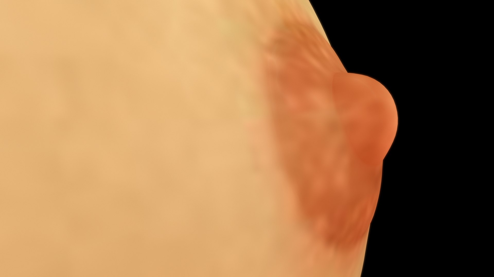 Breast layers anatomy with female characters 3D model https://p.turbosquid.com/ts-thumb/zt/QMq2sj/fG/z0114_breastlayers_01_0006/jpg/1708322968/1920x1080/fit_q87/e83609d12a2c5c491a42ace6f321011d31dea462/z0114_breastlayers_01_0006.jpg