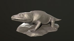 cacops aspidephorus 3D model