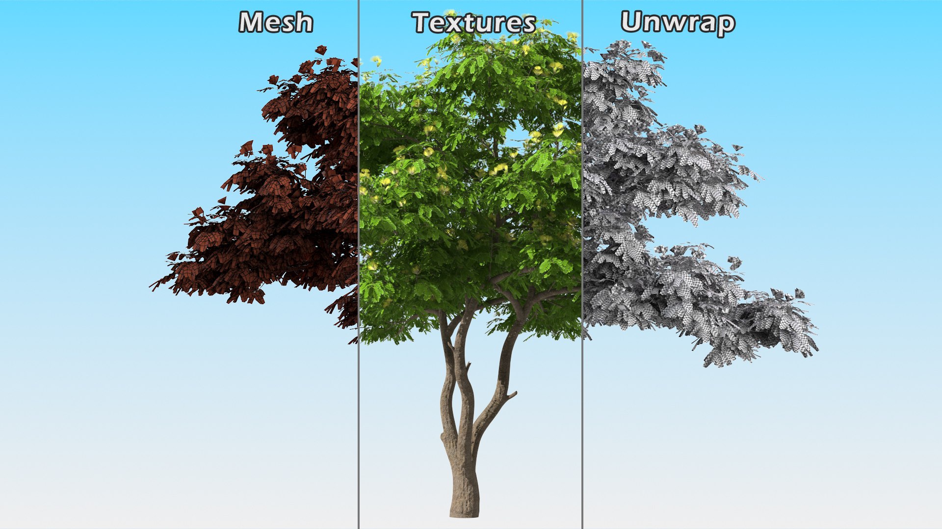 Albizia Lebbeck Blooming 3D model https://p.turbosquid.com/ts-thumb/zt/WQvkP1/ES/albizialebbeckbloomingc4dmodel015/jpg/1622577849/1920x1080/fit_q87/f957ca64aa55e3d9c9b1a4476ae33f95683530d8/albizialebbeckbloomingc4dmodel015.jpg