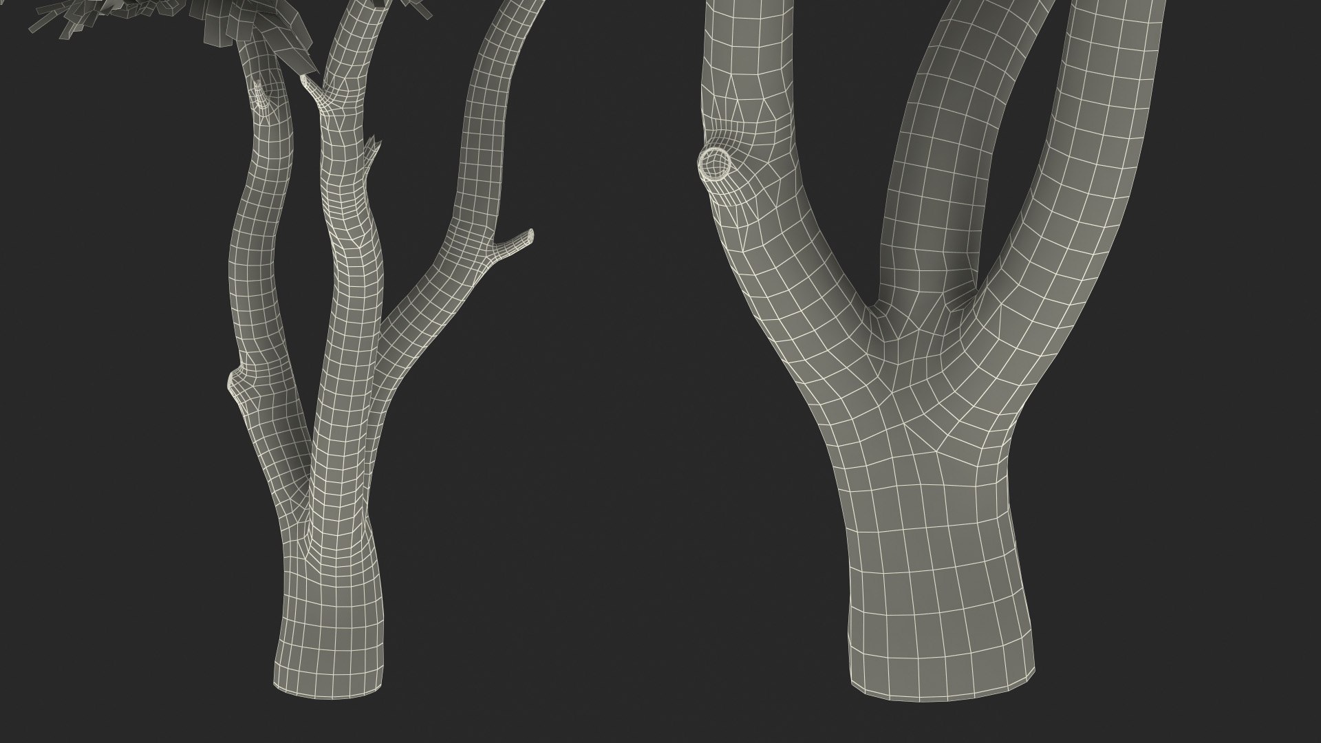 Albizia Lebbeck Blooming 3D model https://p.turbosquid.com/ts-thumb/zt/WQvkP1/KC/albizialebbeckbloomingc4dmodel025/jpg/1622577916/1920x1080/fit_q87/fc73ae92c12ddf4b0dbccede39e5de4d77f452f7/albizialebbeckbloomingc4dmodel025.jpg