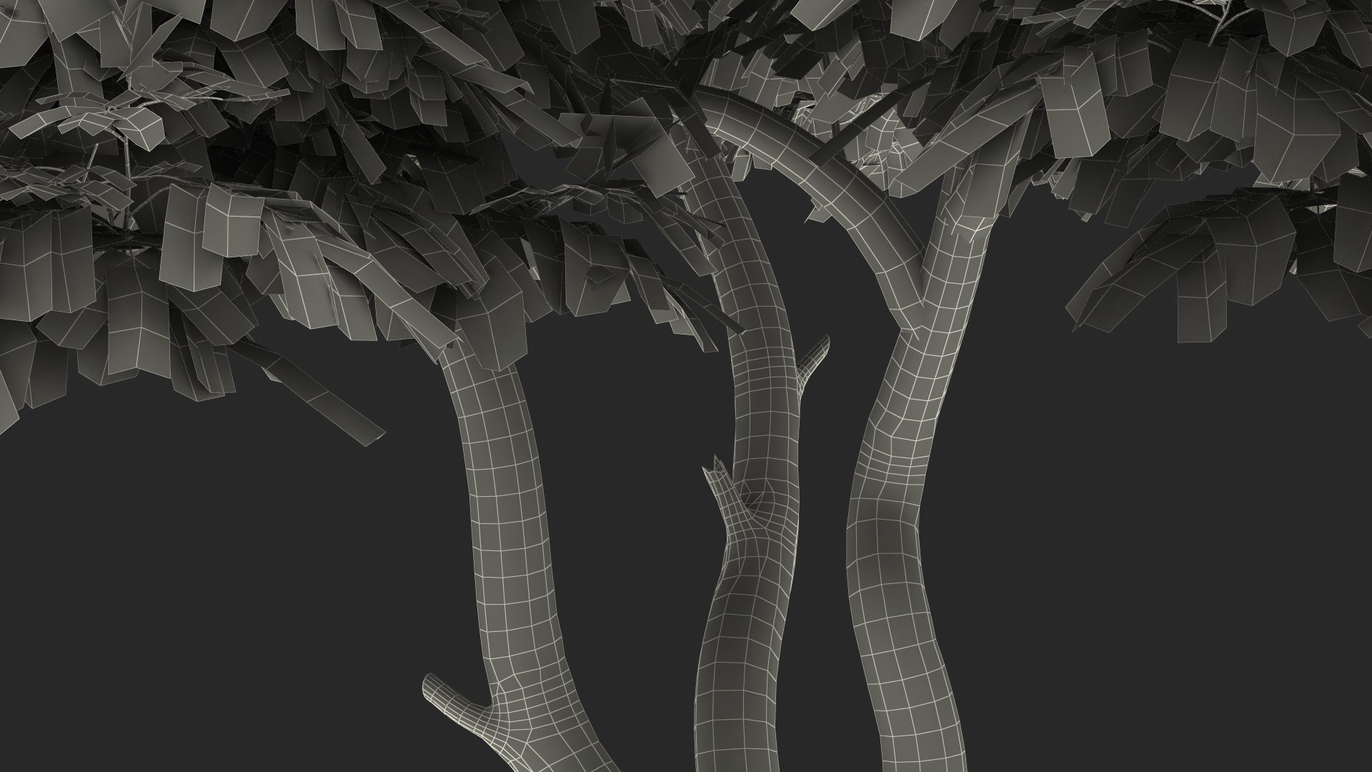 Albizia Lebbeck Blooming 3D model https://p.turbosquid.com/ts-thumb/zt/WQvkP1/MG/albizialebbeckbloomingc4dmodel027/jpg/1622577932/1920x1080/fit_q87/b74203f5a87b478de414263da1c1bc681406029b/albizialebbeckbloomingc4dmodel027.jpg