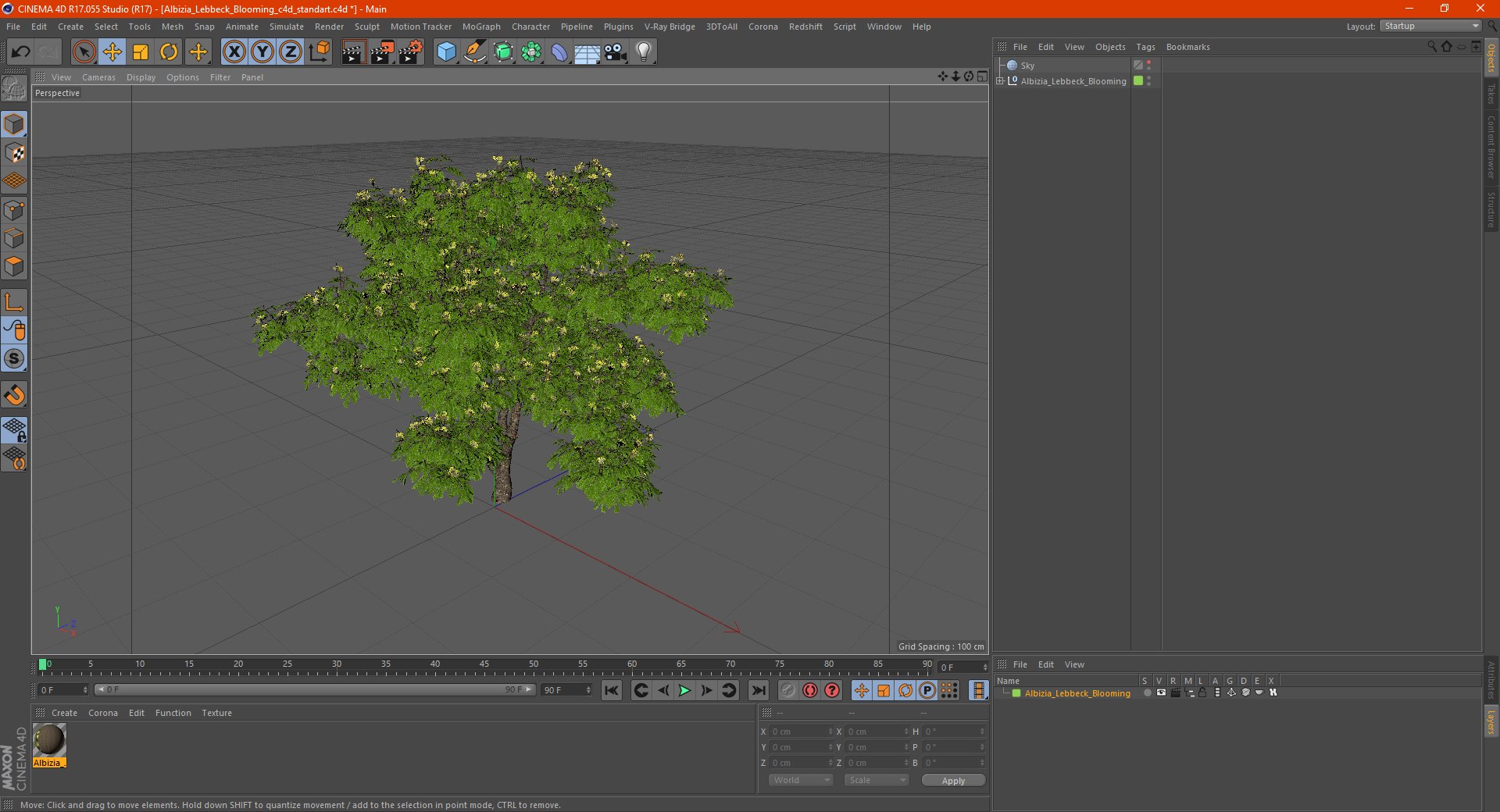 Albizia Lebbeck Blooming 3D model https://p.turbosquid.com/ts-thumb/zt/WQvkP1/dD/albizialebbeckbloomingc4dmodel020/jpg/1622577882/1920x1080/fit_q87/a696b9d18c12403067fd46acc8021c9945becb3d/albizialebbeckbloomingc4dmodel020.jpg