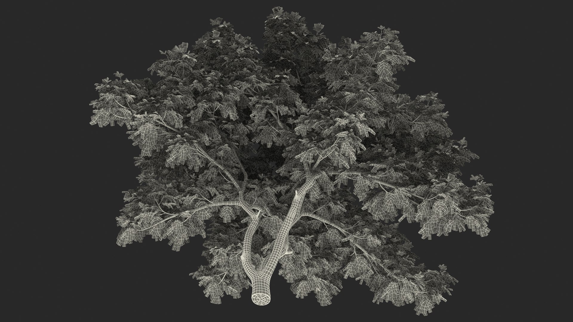 Albizia Lebbeck Blooming 3D model https://p.turbosquid.com/ts-thumb/zt/WQvkP1/gk/albizialebbeckbloomingc4dmodel028/jpg/1622577938/1920x1080/fit_q87/cd06e4c4614ec2ee2298d087ad84f3caaa321063/albizialebbeckbloomingc4dmodel028.jpg