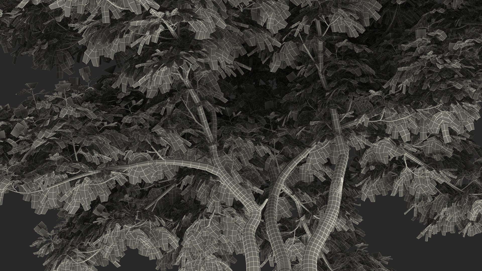 Albizia Lebbeck Blooming 3D model https://p.turbosquid.com/ts-thumb/zt/WQvkP1/mb/albizialebbeckbloomingc4dmodel032/jpg/1622577983/1920x1080/fit_q87/b67fbb956e1424c6d639d8fb085c19920be56dde/albizialebbeckbloomingc4dmodel032.jpg