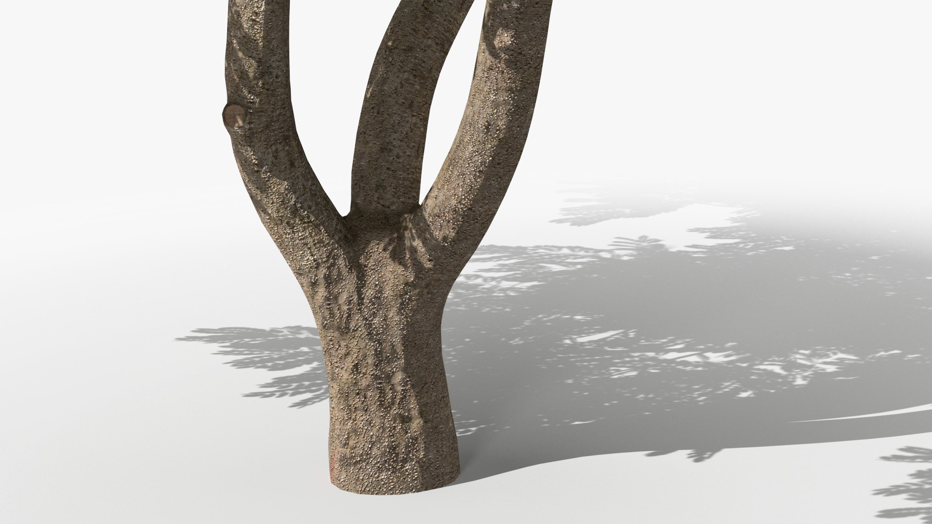 Albizia Lebbeck Blooming 3D model https://p.turbosquid.com/ts-thumb/zt/WQvkP1/uI/albizialebbeckbloomingc4dmodel014/jpg/1622577841/1920x1080/fit_q87/114a3fd610b9da43f1644e42da558a1bef8eb31e/albizialebbeckbloomingc4dmodel014.jpg