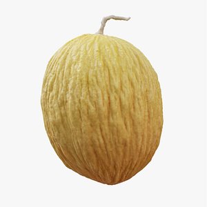 3D Melon 001 - Photoscanned model