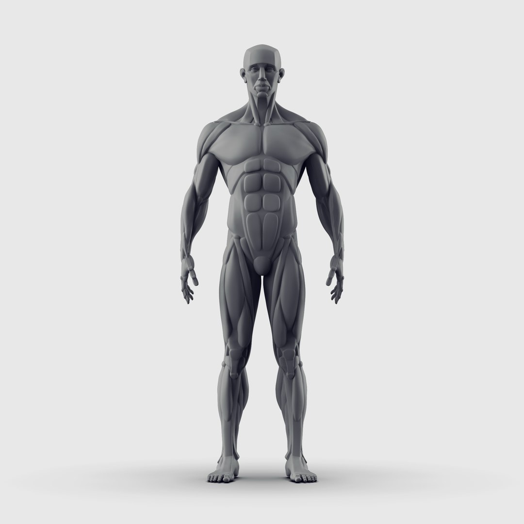 3D Sculpted Simplified Bammes - TurboSquid 1347187