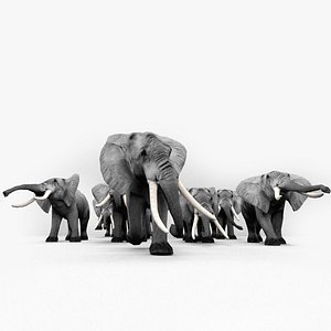 Elephant family 3D model