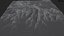 Mount Logan snowy mountain range