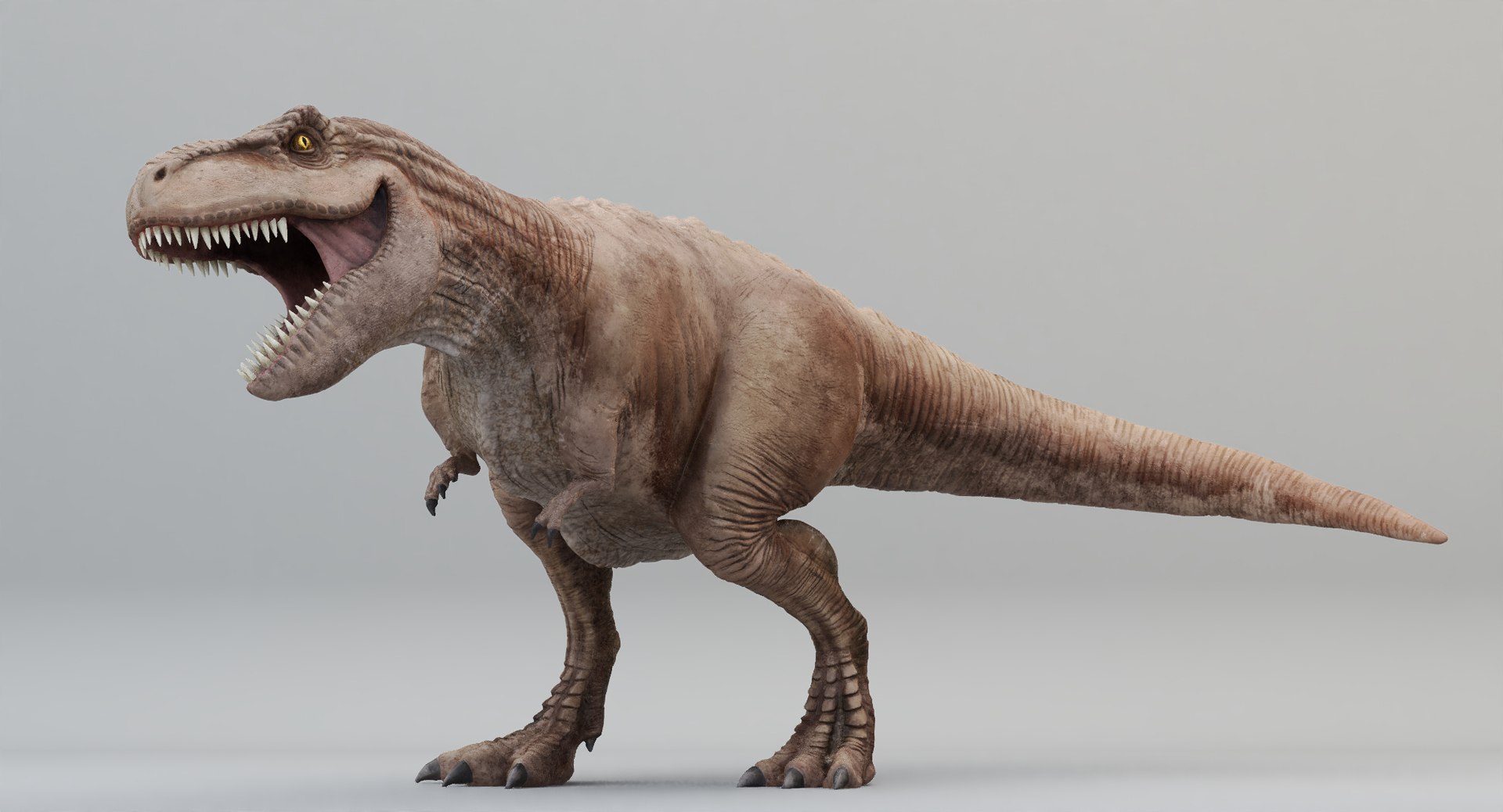 3D Rigged Rex Tyrannosaurus - TurboSquid 1225016