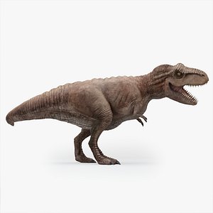 3D rigged rex tyrannosaurus