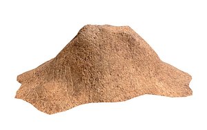 Pile of earth