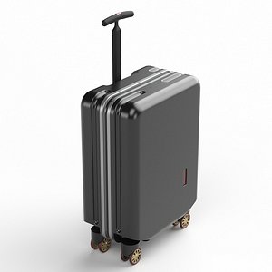 3D model Suitcase 10
