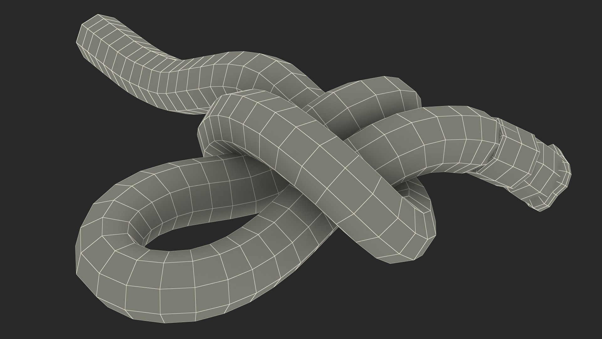 slip knot red rope 3D model https://p.turbosquid.com/ts-thumb/zu/mHHdfj/6g07VOnt/slipknotredropevray3dmodel027/jpg/1605186436/1920x1080/fit_q87/2d121d7af0786919093327854730d0298bf0f9f1/slipknotredropevray3dmodel027.jpg