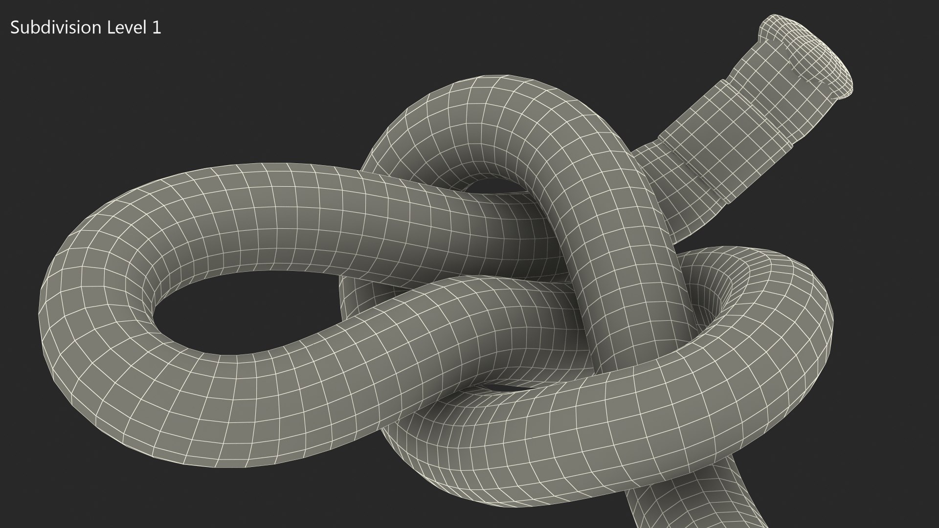 slip knot red rope 3D model https://p.turbosquid.com/ts-thumb/zu/mHHdfj/Bqe8YS7m/slipknotredropevray3dmodel014/jpg/1605186235/1920x1080/fit_q87/f353f4ecf37090607c758c0b63f0d124e13bdc4e/slipknotredropevray3dmodel014.jpg