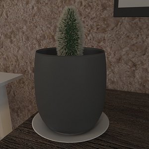 Cactus 3D