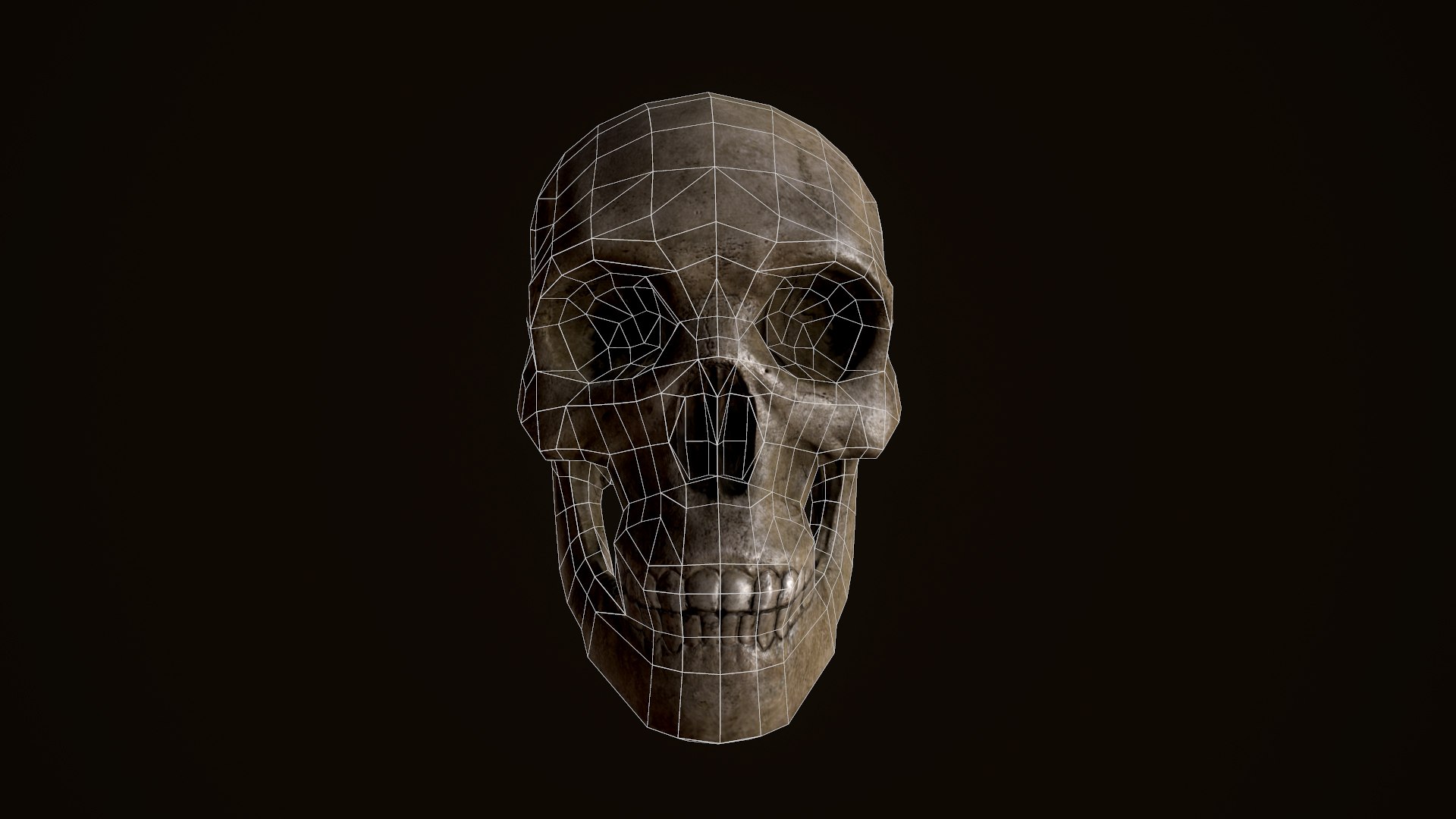 3d model far skull https://p.turbosquid.com/ts-thumb/zv/4mUspd/XRKaDgPs/frontviewlwire/jpg/1424256238/1920x1080/fit_q87/a438165031c596325abfc273ebdd993bd5bfb24b/frontviewlwire.jpg