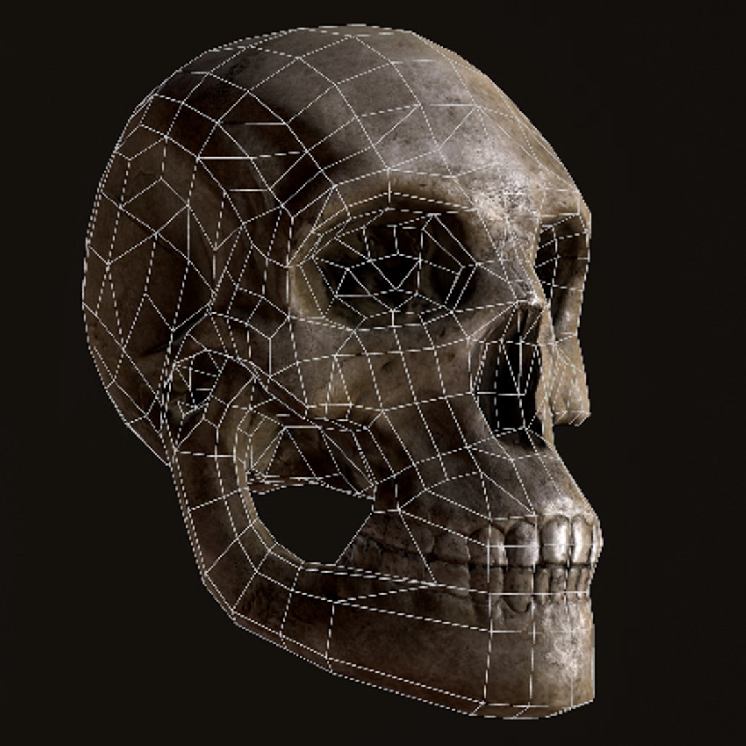 3d model far skull https://p.turbosquid.com/ts-thumb/zv/4mUspd/xgGsKLrQ/main_wire/jpg/1424256220/1920x1080/fit_q87/e71c9e20e729f264078ecf32e21f093bb0d85c4a/main_wire.jpg