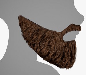Facial Hair Cards Style 2 - Full Beard 2 3D model