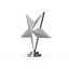 Star Trophy Silver