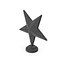 Star Trophy Silver