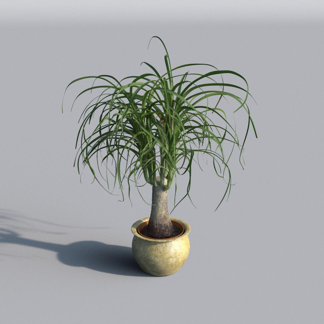 3d plant model https://p.turbosquid.com/ts-thumb/zv/Aaguo8/sOZ5MsfE/plant_front/jpg/1365738648/1920x1080/fit_q87/d63cd3377745503ea4e86c2430e3643fde79b5ea/plant_front.jpg
