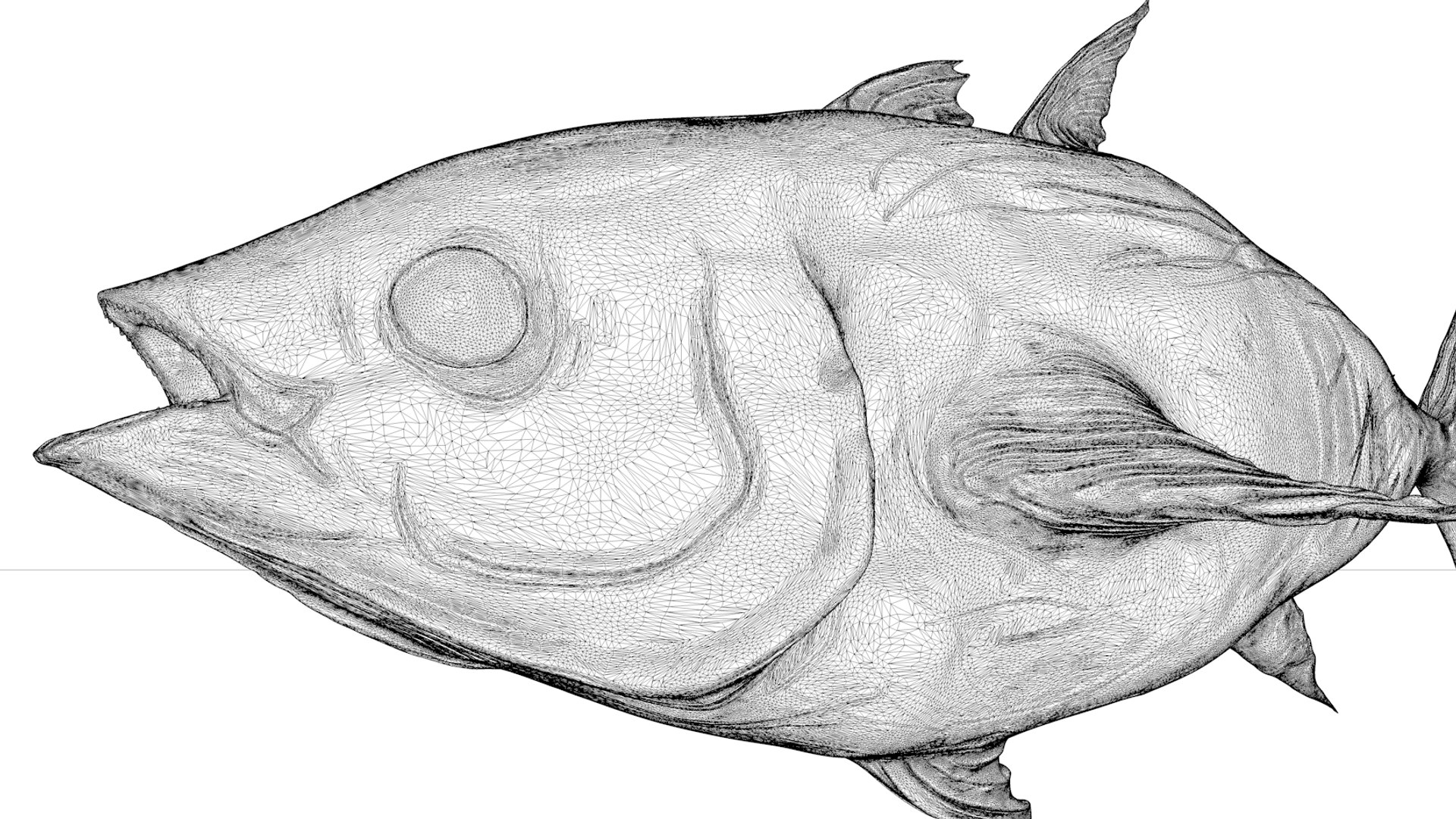 3D tuna fish l138 animate model https://p.turbosquid.com/ts-thumb/zv/EAyOhe/GlCFcFVP/12/png/1559267401/1920x1080/fit_q87/d1e98e6cae5d5457ec8955f20a65d5ba36f88930/12.jpg