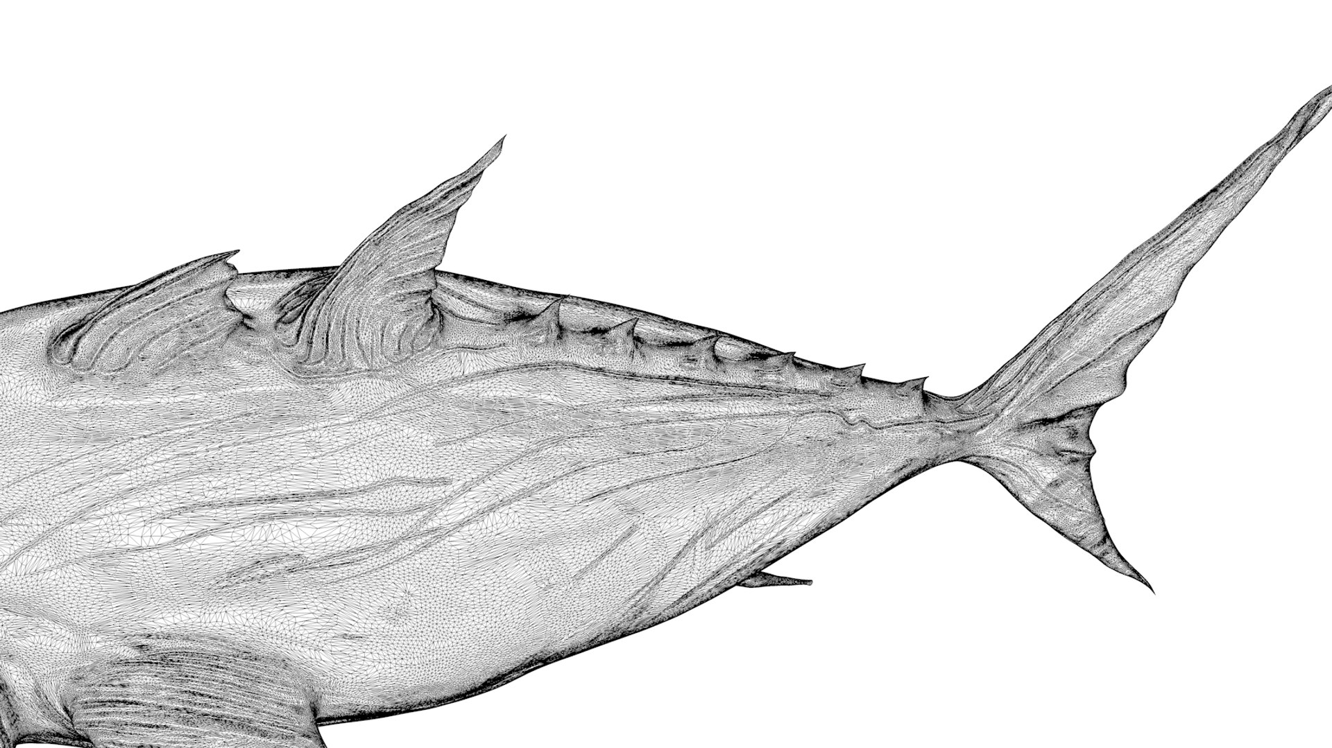 3D tuna fish l138 animate model https://p.turbosquid.com/ts-thumb/zv/EAyOhe/Ima0Z9OD/15/png/1559267401/1920x1080/fit_q87/a9e2cd6293d99b5161e2e6f1785a26e6fb3f749f/15.jpg