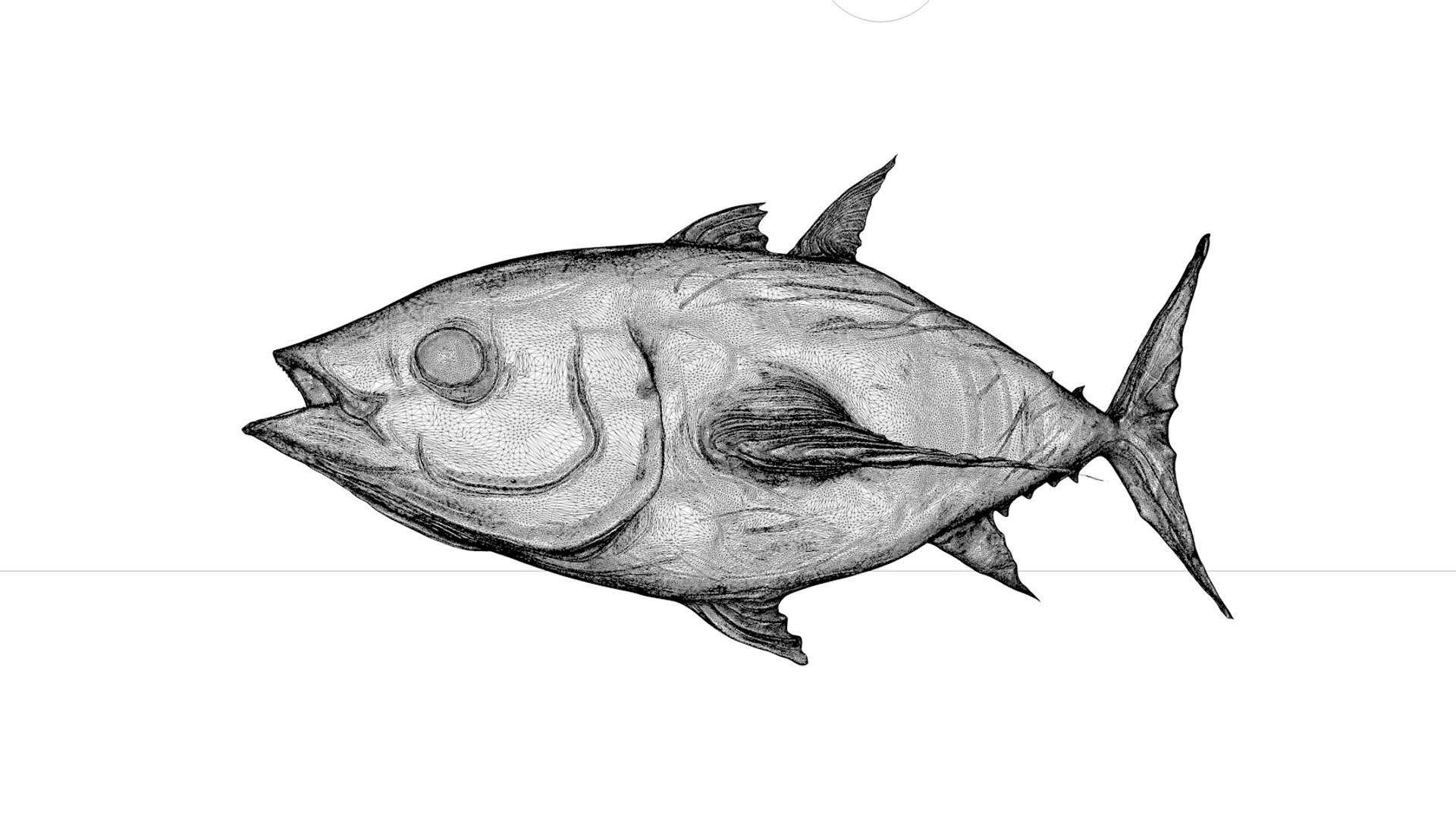 3D tuna fish l138 animate model https://p.turbosquid.com/ts-thumb/zv/EAyOhe/QEfoj0eK/11/png/1559267400/1920x1080/fit_q87/429ea6845f066ec55d2509845c37d396b55c45cd/11.jpg