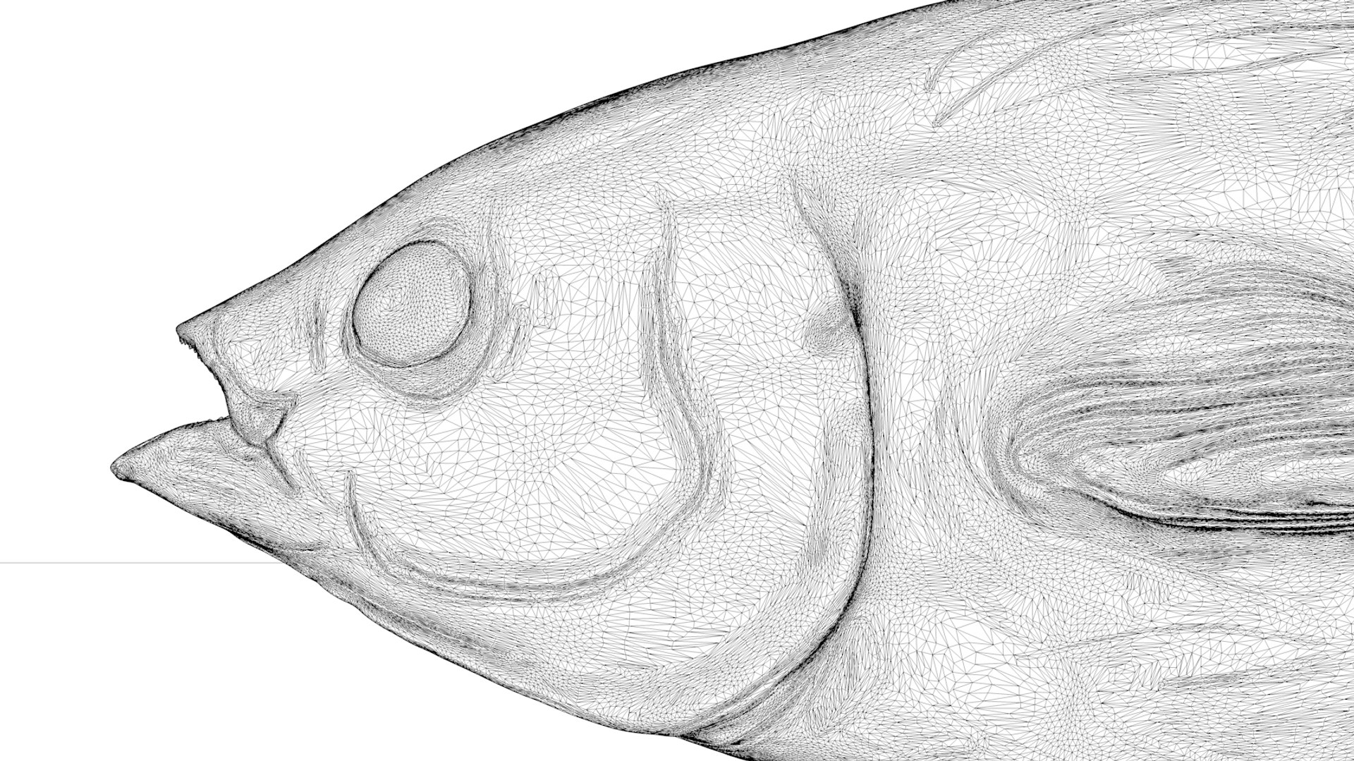 3D tuna fish l138 animate model https://p.turbosquid.com/ts-thumb/zv/EAyOhe/lDj4mlir/17/png/1559267401/1920x1080/fit_q87/33bad773572042c15687d6578f69cc44c82eaa4a/17.jpg